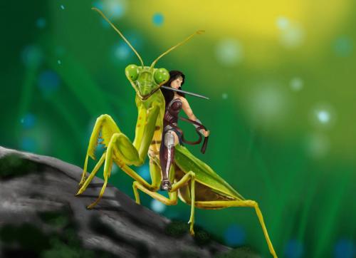 Insecto